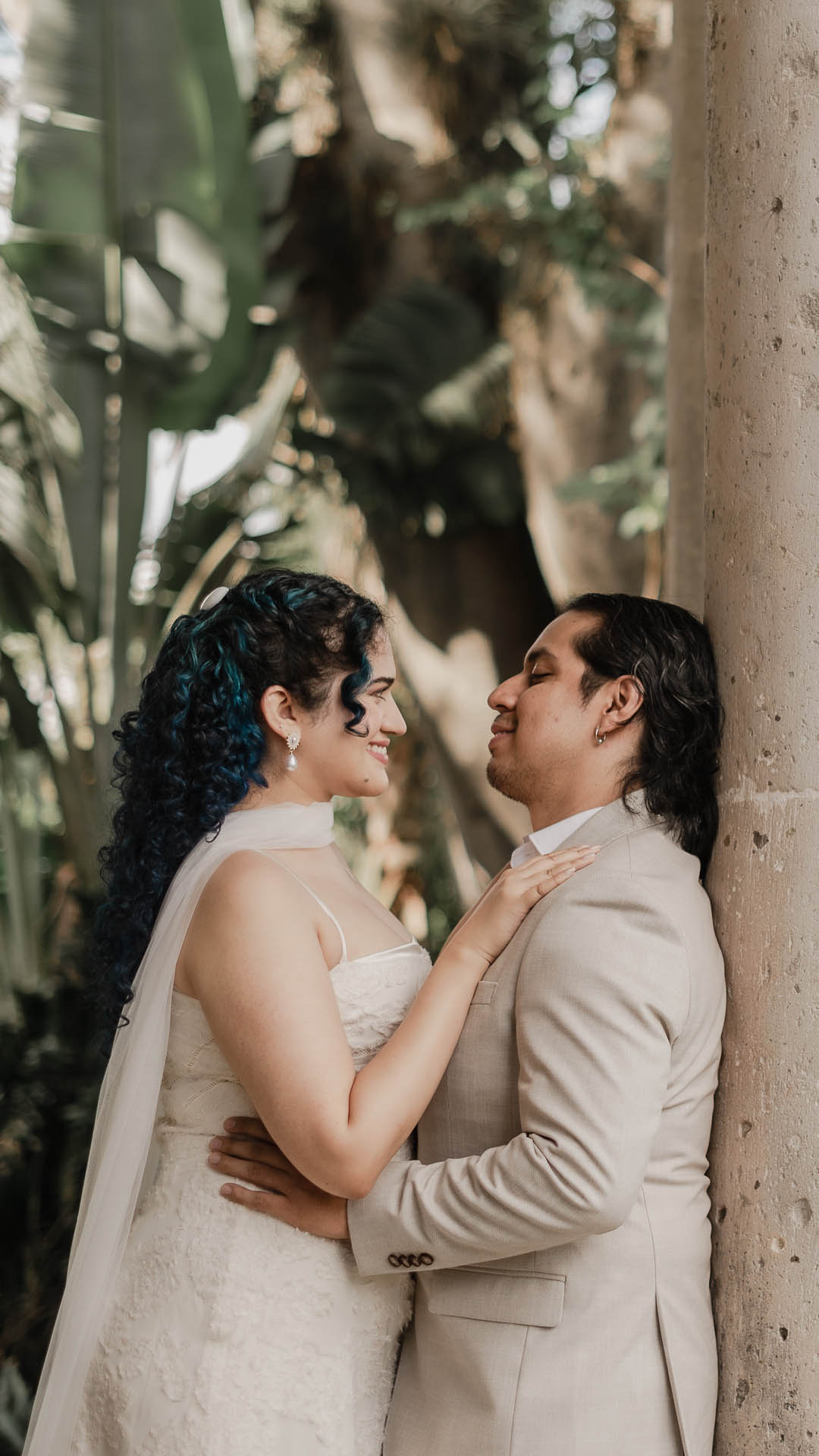 Novios